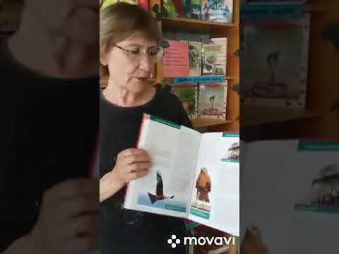 Экологический видео репортаж смотреть онлайн