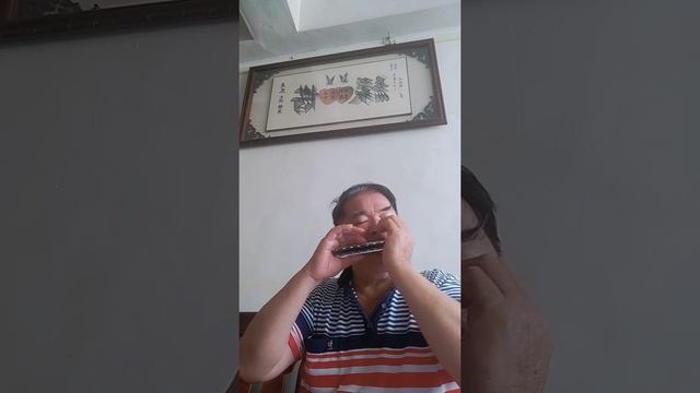 （可憐的戀花再會吧）木舞山人謝欽錠口琴吹奏F調 смотреть онлайн
