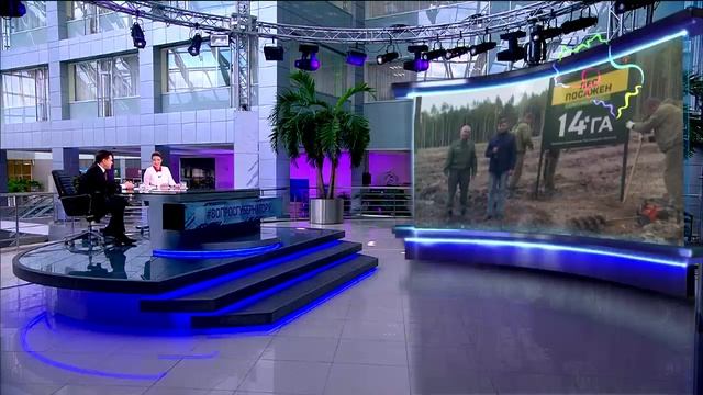 На всех площадках «Нашего леса» появятся информационные таблички смотреть онлайн