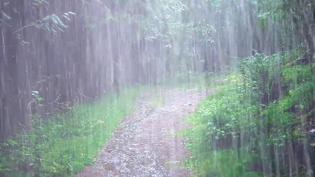 Thunderstorm & Relaxing Heavy Rain Sounds For Sleeping | Sleep Immediately With Rain & Thunder  ASM