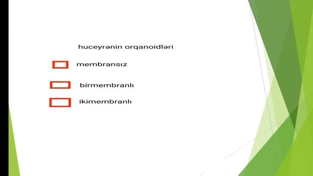 ümumi Biologiya Orqanoidlər
