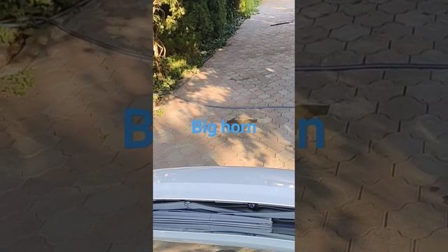 Звук сигналов big horn смотреть онлайн