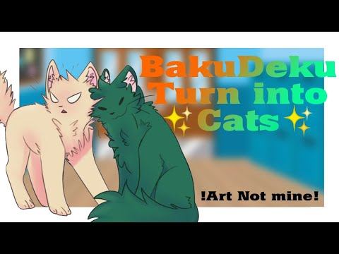 []✨BakuDeku Turn Into Cats✨[]Mha[]🧡BakuDeku💚