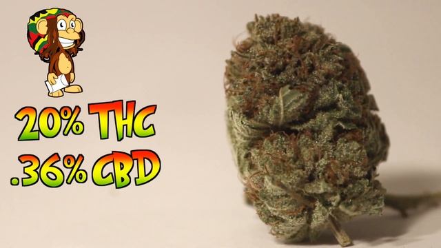 Fire OG Kush Hybrid strain (Dank Delivery Promo video) смотреть онлайн