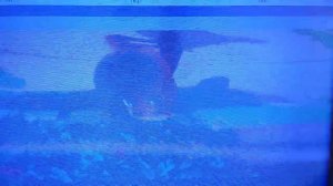 Телевизор Haier LE32K6000S 32 дюйма