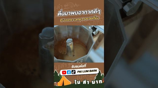 D'ozone camp ตื่นมาพบอากาศดีๆ смотреть онлайн