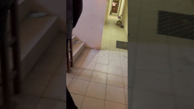 Чиновники меняются, а условия проживания бывших сирот-остается прежним. смотреть онлайн