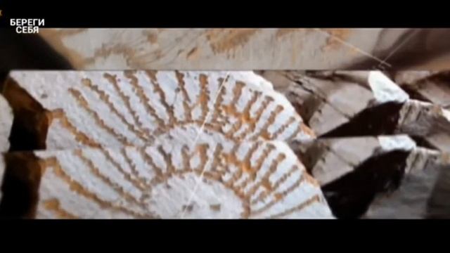 "Манас" эпосундагы көөнө сөздөр / Улут наркы - улуу тил / ТҮЗ ЭФИР смотреть онлайн