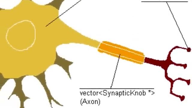 The Human Nervous System Part 1 смотреть онлайн