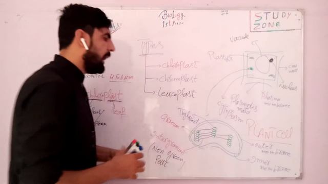 What is plastid? Plants organelle (Structure and functions of plastids)1st year Biology смотреть онлайн