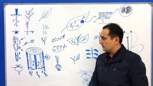 6-sinf Biologiya 7§-21§ Mavzular | 5-dars