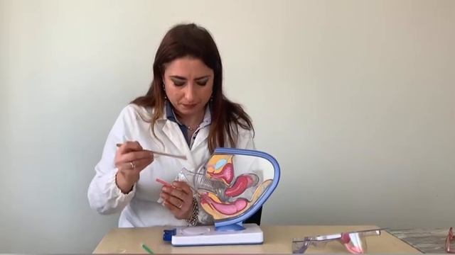 Pap Test. Come si fa il Pap Test? Cos'è il Pap test? Chi deve fare il Pap Test? смотреть онлайн