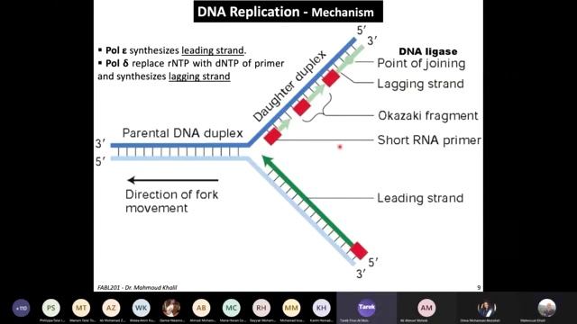 Lec2 DNA Synthesis смотреть онлайн