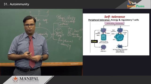 Autoimmunity смотреть онлайн