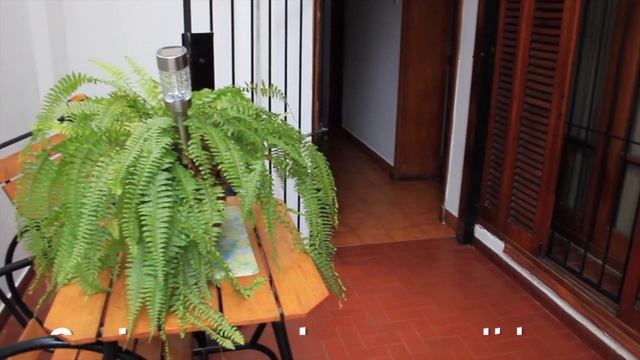 Ph en Venta en C. Larralde al 2100 смотреть онлайн