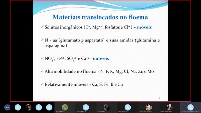 TRANSLOCAÇÃO NO FLOEMA 26 04 PARTE02 смотреть онлайн