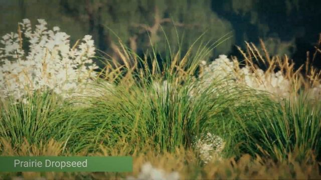 Field Plants and Grasses Vol. 2 | High Quality Assets for 3ds Max смотреть онлайн