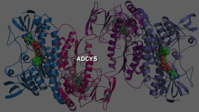 Genome Sequencing Brings Hope to La Jolla Teen смотреть онлайн