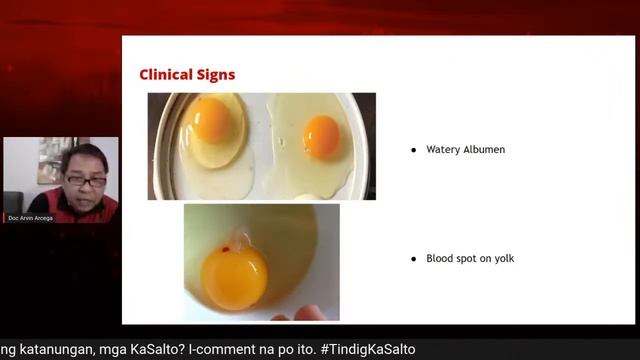 Usapang Pagmamanok: Gamefowl Disease - Infectious Bronchitis смотреть онлайн