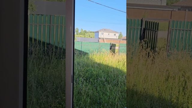 #жизнь #life #almaty #цитаты #казахстан #kyrgyzstan #саморазвитие смотреть онлайн