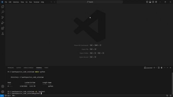 Visual Studio Code: Selenium 4 Python tutorial