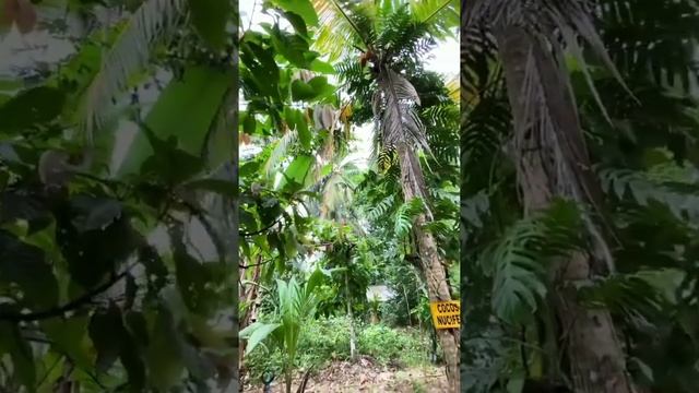 Настя Якуб в сторис 02.02.2020. смотреть онлайн