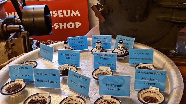 Vlog Hamburg ASMR / Тихий Голос Гамбург Влог / Галерея Музей Специй Кино смотреть онлайн