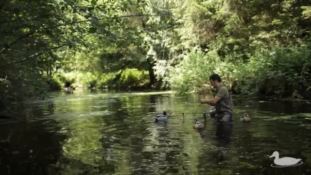 Decoy Spreader System And Jerk Rig In Action - Motion Ducks