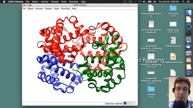Protein Structure Imaging #4: coloring the subunits of hemoglobin смотреть онлайн