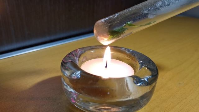 Выделение воды из частей растения. Тема: Химический состав клетки смотреть онлайн