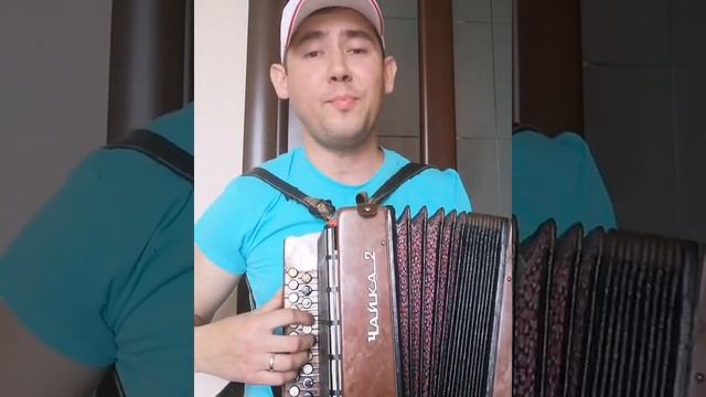 Тополинный пух из фильма Лёд 2 (кавер) потому что #папа тебя#любит (под гармонь) #подбираюнаслух смотреть онлайн