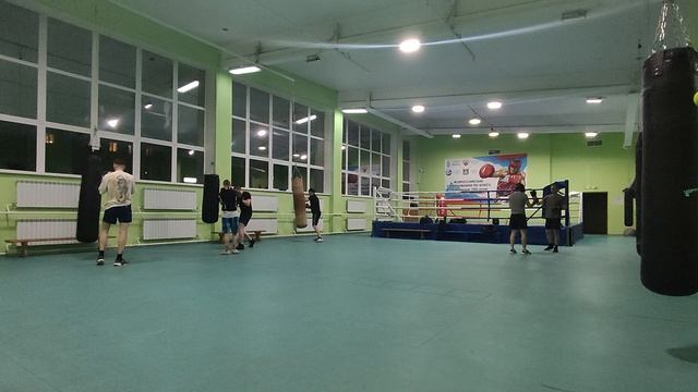 Тренировка 28.11.2024 ( работа на средней и ближней дистанции) смотреть онлайн