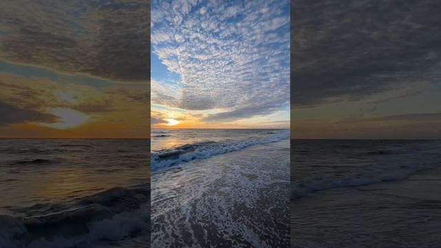 sea #nature #природа #world #subscribe #shortvideo #стихии смотреть онлайн