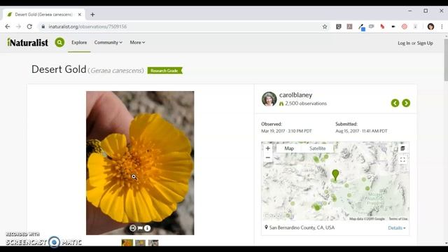 Using iNaturalist to Explore the Flora and Fauna of Your State смотреть онлайн