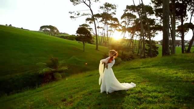 музыкальные клипы скрипка