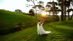 музыкальные клипы скрипка