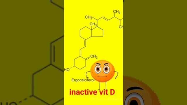 Vit D - interesting facts/ #fact #health смотреть онлайн