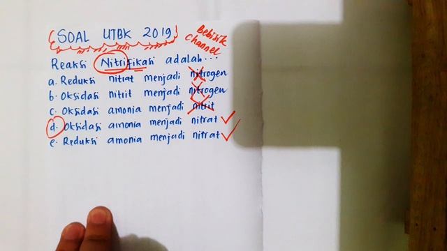 UTBK Biologi 2019 : Nitrifikasi - TRIK CEPATT !!! смотреть онлайн