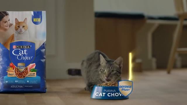 Purina® Cat Chow® con Defense Plus® смотреть онлайн
