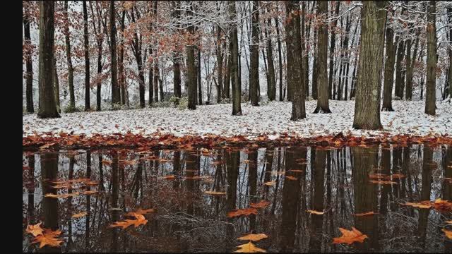 Осень. Афанасий Фет. смотреть онлайн