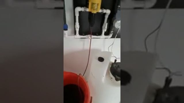 Отзыв о применении кормовой добавки CUPROSOL на бройлерном стаде в жарком климате (часть 2) смотреть онлайн