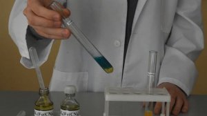 Качественная реакция на ионы железа 2+ и 3+ с использованием кровяных солей.