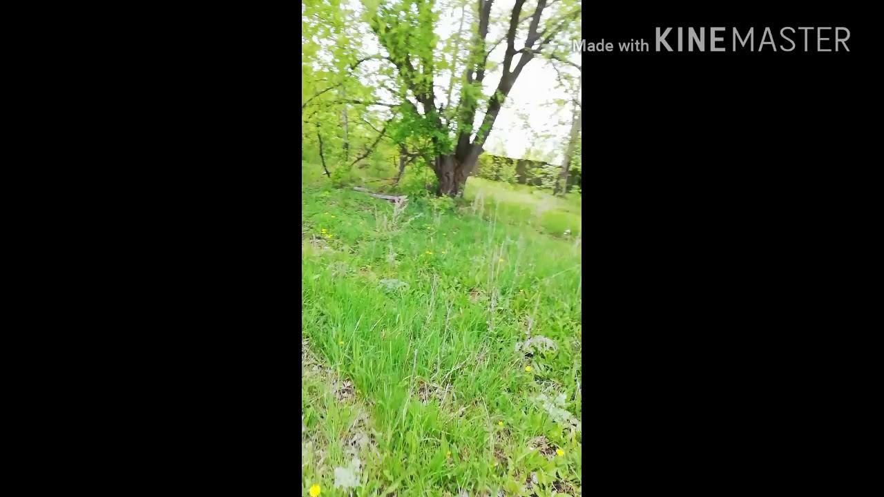 Говнофильм #часть1 смотреть онлайн