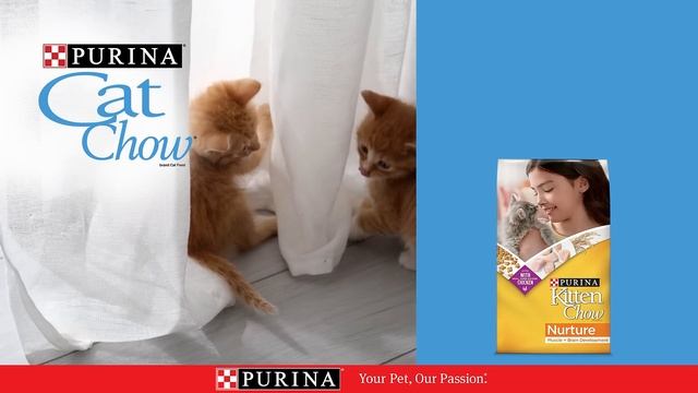 Purina Kitten Chow - 100% Complete and Balanced Cat Food for Kittens смотреть онлайн