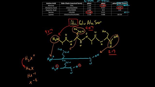 Speciation of peptides смотреть онлайн