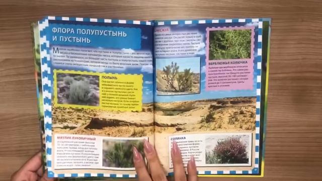 Растения России. Энциклопедия для детей смотреть онлайн