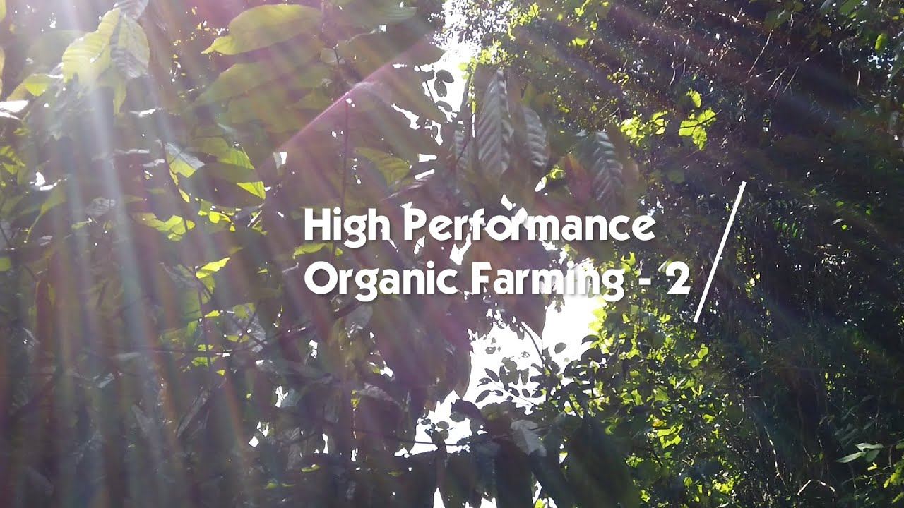 High Performance Organic Farming Part 2 - Learn Organic Farming Ep-2 смотреть онлайн