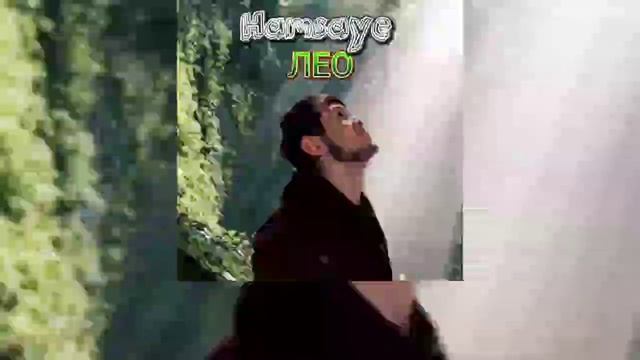 LEO - HAMSAYE | ЛЕО - ХАМСОЯ (2023) смотреть онлайн