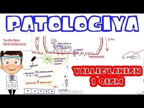 YALLIG’LANISH | 1-qism | #yallig'lanish #imed #imedteam #patfiz #patologiya смотреть онлайн