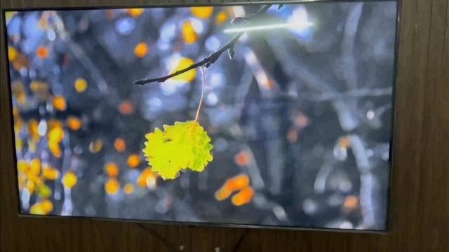 LG Nanocell 65NANO75 TV review/ LG Real 4k/ better than midrange VU OR MI TV? смотреть онлайн